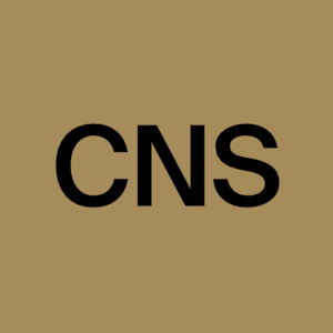 Cognitive Neuroscience